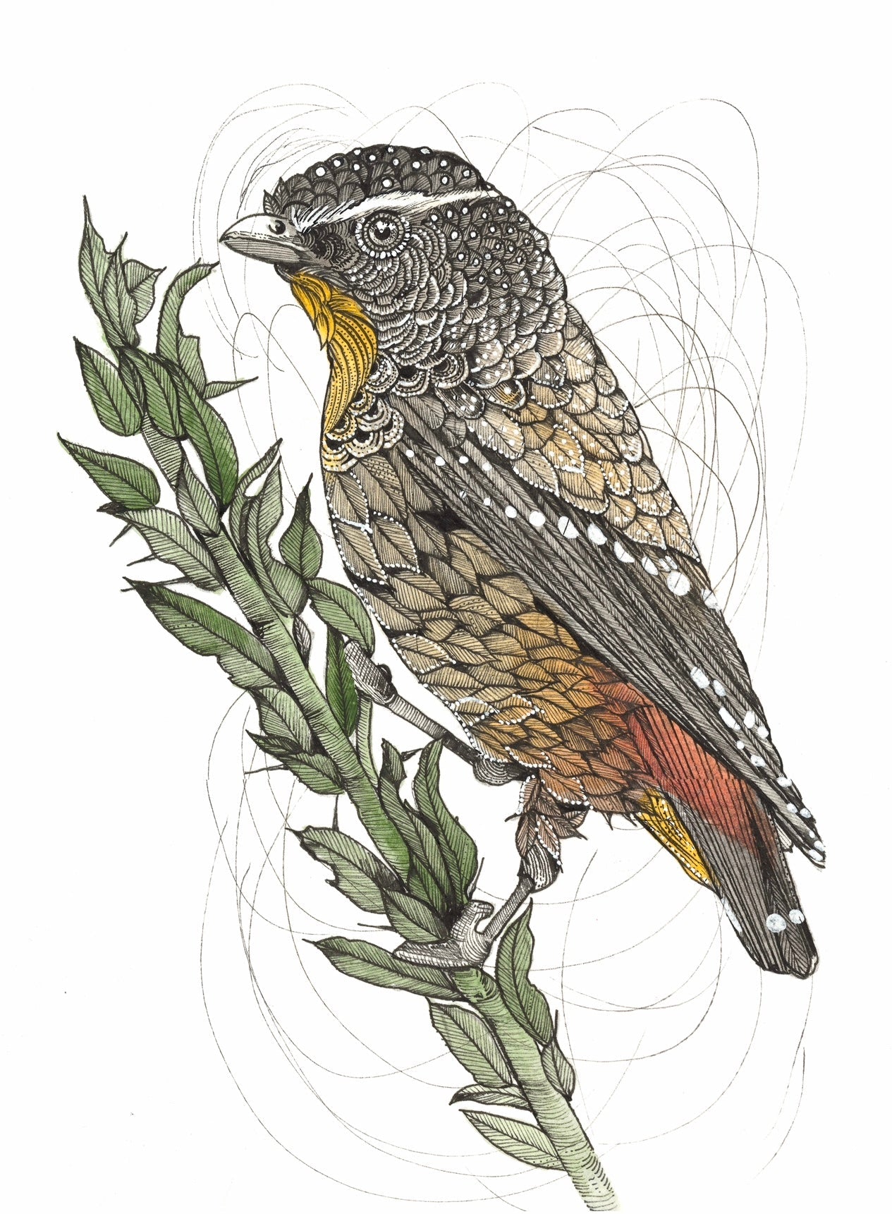 Selected Variant Image