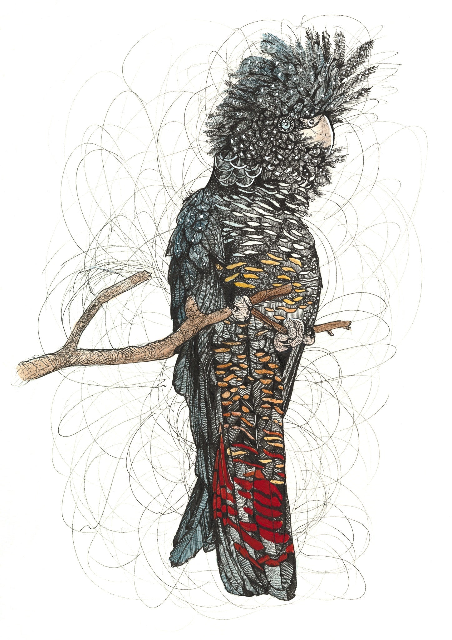 Selected Variant Image